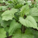 JYP휘트니스 이미지