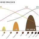 바른커피 이미지