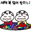 비토애풀빌라펜션 이미지