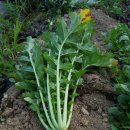 펜션라벤더 이미지