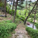 법흥숲속민박 이미지