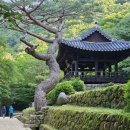 시인의마음 이미지