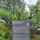 인동건축사사무소 | 가을이 오는 외씨버선9길 춘양목솔향기길