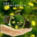 지혜세탁소 이미지