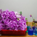 화경축산 이미지