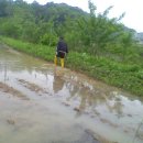 기상농장 이미지