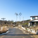 대부해솔길 5코스 이미지