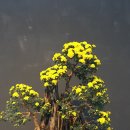 남도청년보부상 이미지