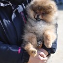 이천공설운동장 이미지