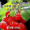 주차51 이미지