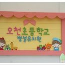 오천 초등학교 병설 유치원 이미지