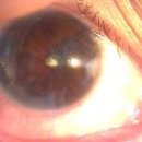 정읍안과의원 이미지