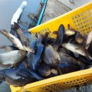 화제낚시터 이미지