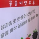 꿀꿀이탕후루 이미지