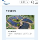 하단시장 Daum카페