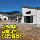서산예천중흥단지내공인중개사사무소 | (143) 서산 전원주택 매매｜인지면 단지형 전원생활｜층간소음 없는 집｜3.5억 → 3억