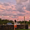 판포레스트 | 고양이와 조식이 가득한 제주 판포포구 숙소 추천 - 판포레스트