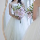 불로초교 | 💍W11. 촬영부케 예약 :: 대구 남산동 꽃집 브라이트비드 웨딩촬영 생화 부케 후기