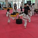 계명대 석사 동아태권도장 이미지