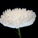 시민장례식장 이미지