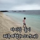 평화모터랜드 | 4월 아이랑 둘이 제주여행 후기(주의할 점 포함)