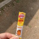 축령산아침 | 경기도남양주4월축령산등산코스 주차