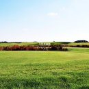 링스골프존 이미지