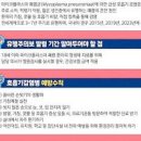 마이크로플라즈마 폐렴 원인 이미지