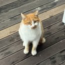 창훈목장 | 원더리벳이 끝난 11월