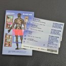 성룡체육관 | [제28회 비판 / 240706 / 1일차] 하우잔, 비버 대소동, 페이백 강도단