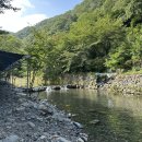 산호쉼터 이미지