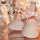 인셀덤사랑 - 안성시 신원아침도시 | 인셀덤사랑