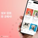 핌피바이러스