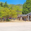 장릉청솔식당 이미지