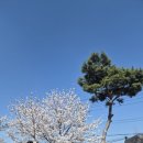 세븐일레븐 홍성파밀리에점 이미지