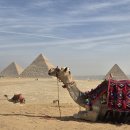 대륙빌딩 | [무지성대륙횡단모험 #10화] 🇪🇬 이집트