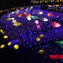 화천광고 이미지