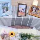 아리아펫 이미지