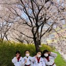 창진체육관 이미지