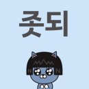 이박통상 | 재수(한 번 더 수능을 치는 행위)일기