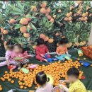 인애어린이집 이미지