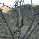 ㈜선진환경 이미지