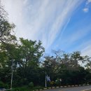 우암산등산로2 | K2디아미르 등산화 내돈내산 구매와 사용후기 및 청주 우암산 등산 후기 - 가격,사이즈, 우암산 등산 코스