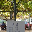 채식농장 이미지