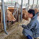 부농축산 이미지