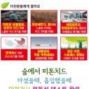 키즈짐 이미지