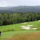 TOP GOLF클럽 이미지