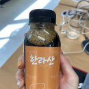마이빈스(MYBEANS) | 제주 콜드브루 마이빈스 더치커피 한라산 짱맛