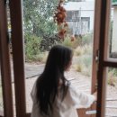 두번째 마음 이미지