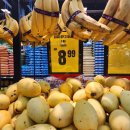 우리 가족 꿈의 수족관 | [랑카위] Day5. 천국의 게으른 여행자들